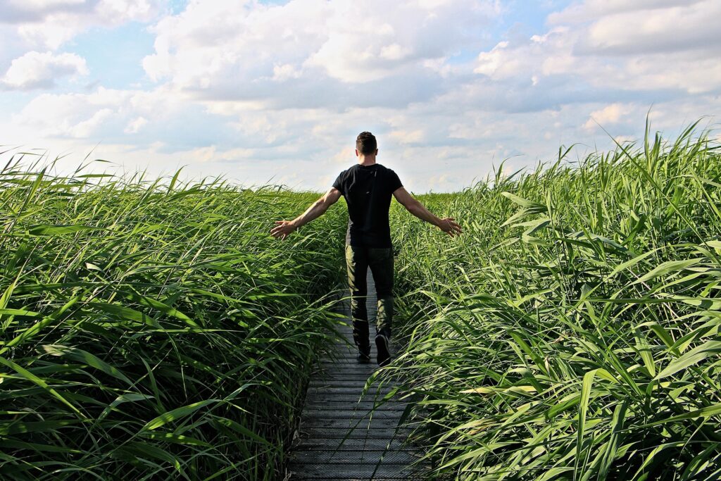 Accompagnement de traitement médical